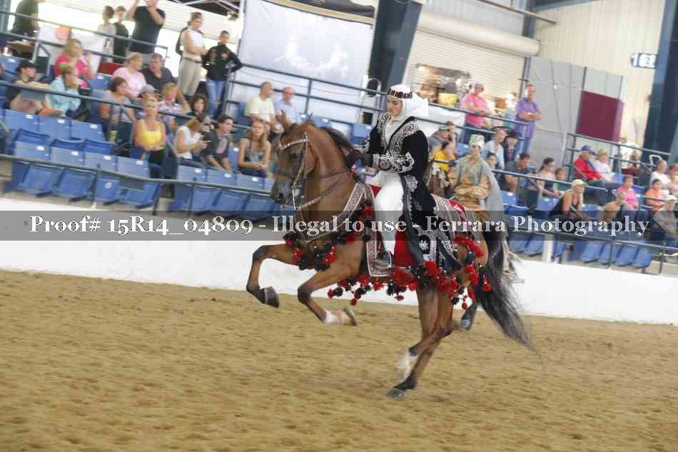 Proof Number 15R14_04809
