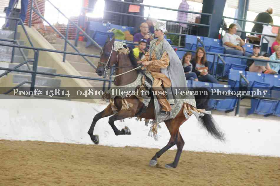 Proof Number 15R14_04810