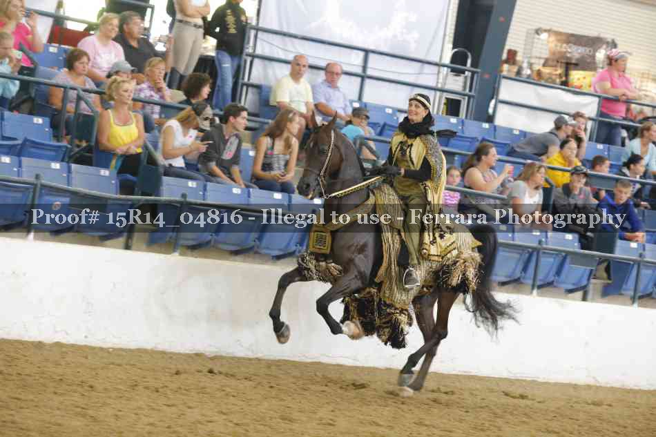 Proof Number 15R14_04816