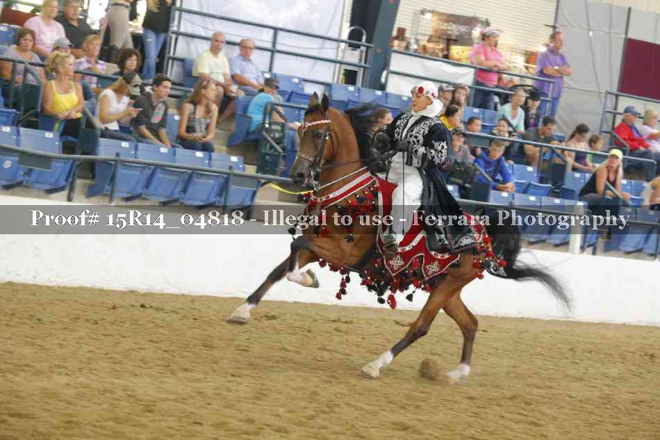 Proof Number 15R14_04818