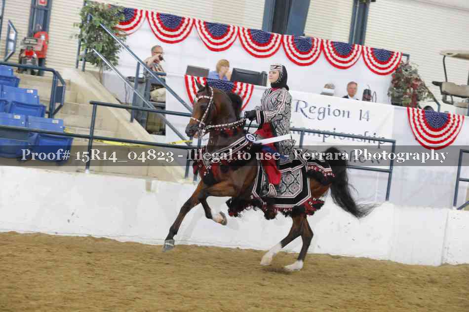 Proof Number 15R14_04823