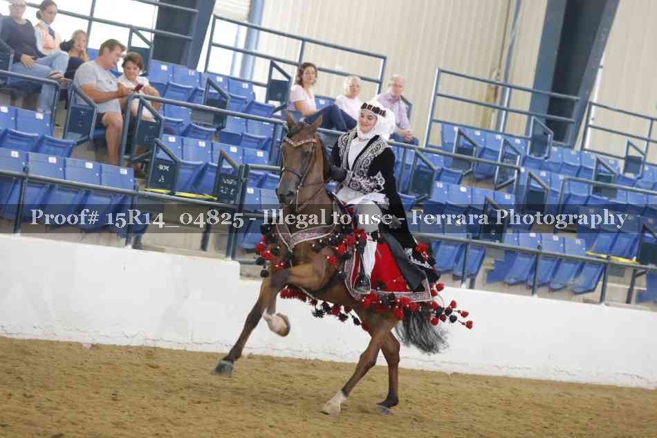 Proof Number 15R14_04825