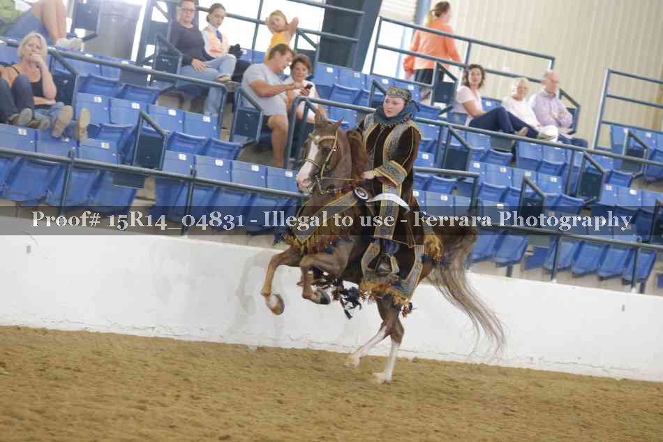 Proof Number 15R14_04831