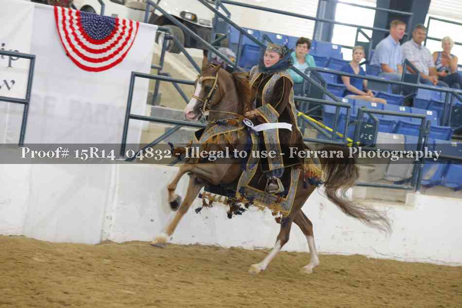 Proof Number 15R14_04832