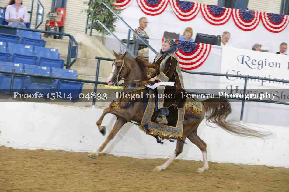 Proof Number 15R14_04833