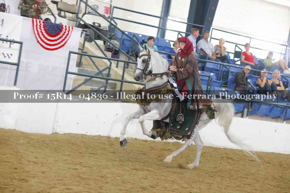 Proof Number 15R14_04836