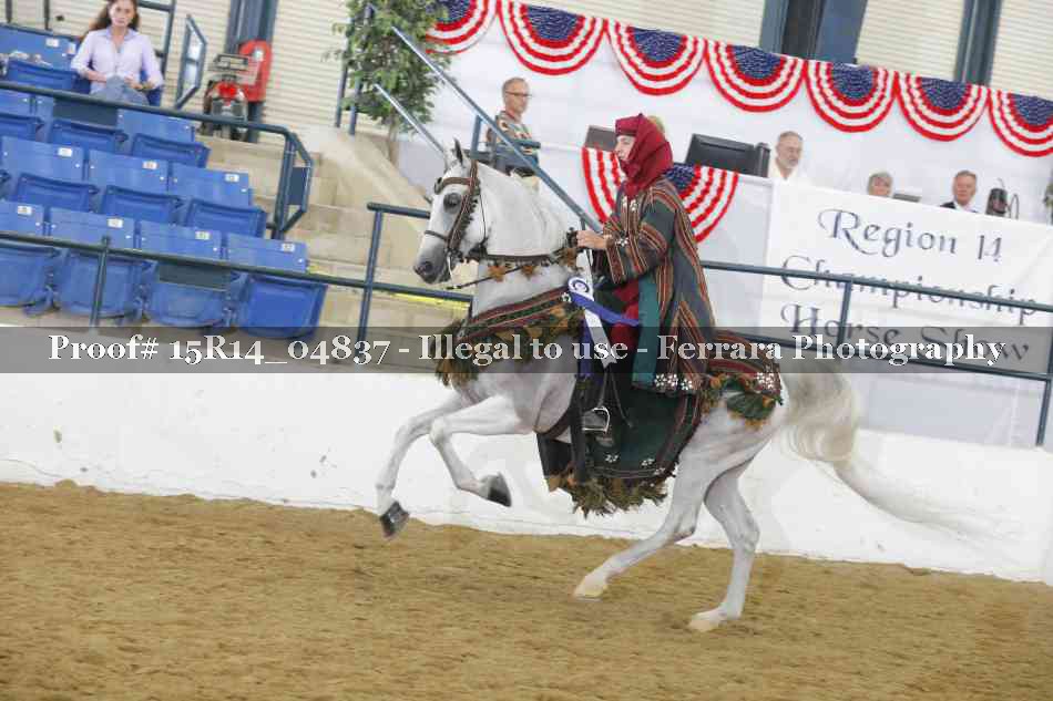 Proof Number 15R14_04837