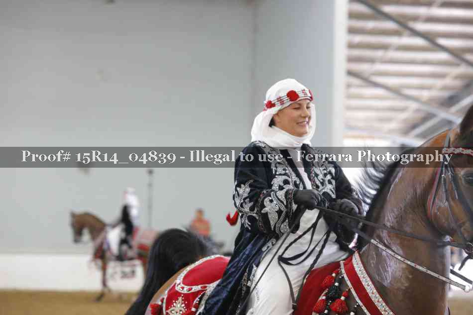 Proof Number 15R14_04839