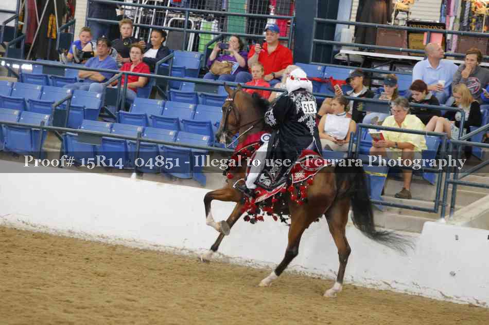 Proof Number 15R14_04851