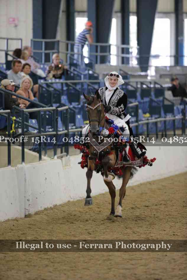 Proof Number 15R14_04852