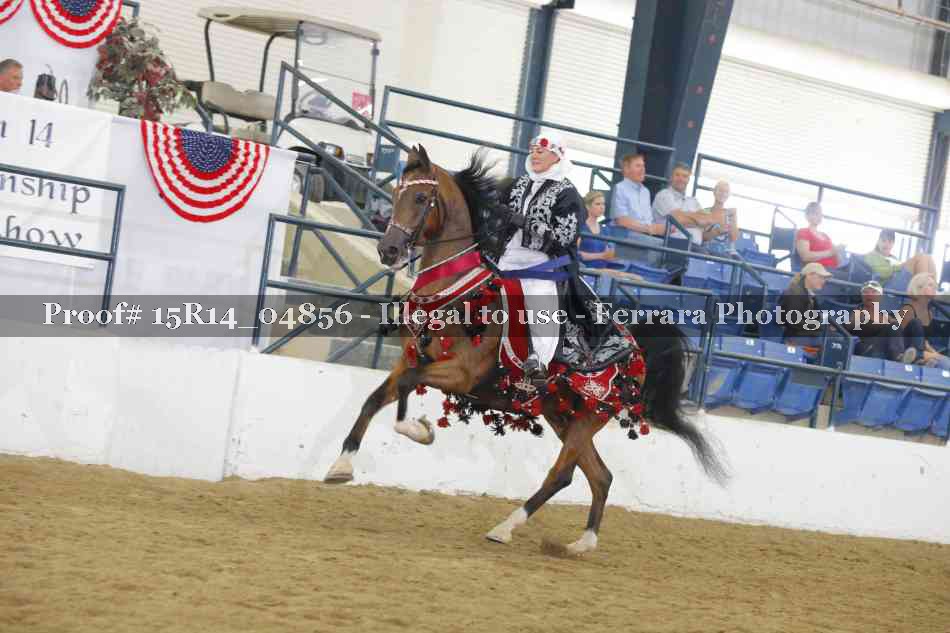 Proof Number 15R14_04856