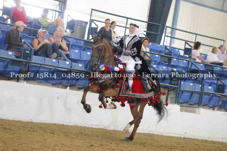 Proof Number 15R14_04859