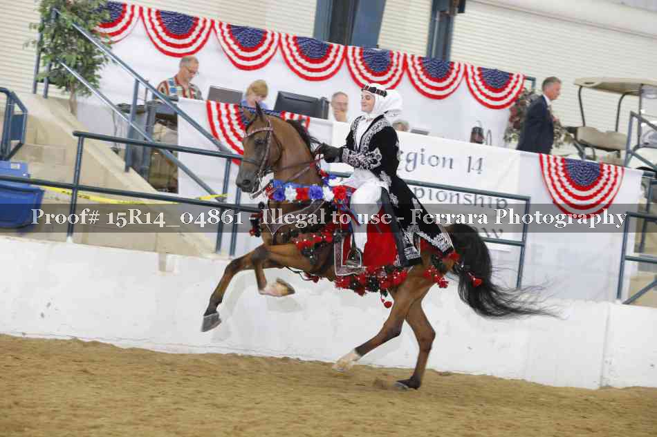 Proof Number 15R14_04861