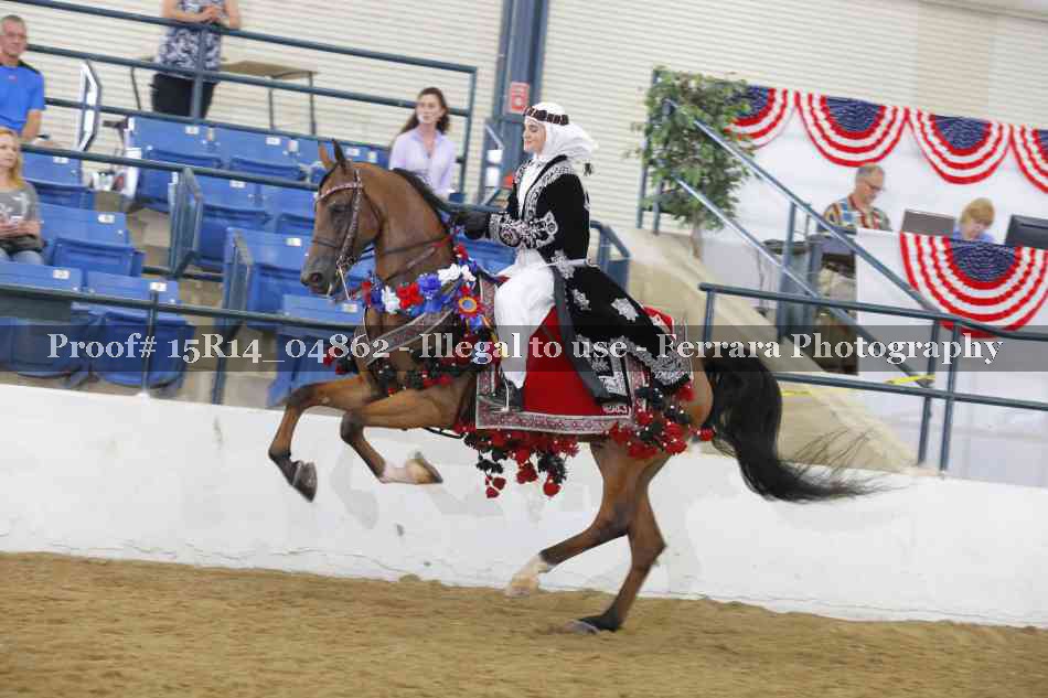 Proof Number 15R14_04862