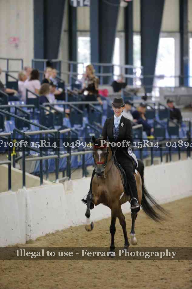 Proof Number 15R14_04894