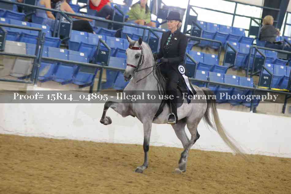 Proof Number 15R14_04895