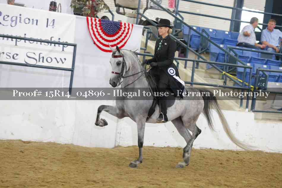 Proof Number 15R14_04896