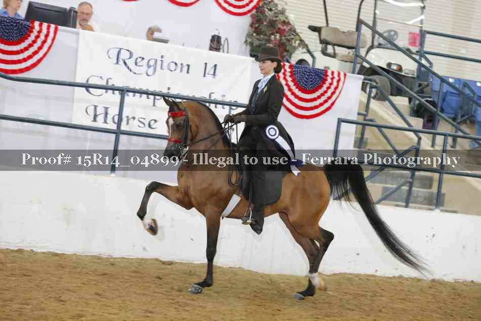 Proof Number 15R14_04899