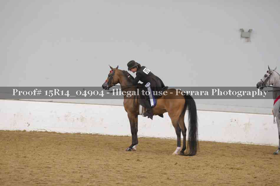 Proof Number 15R14_04904