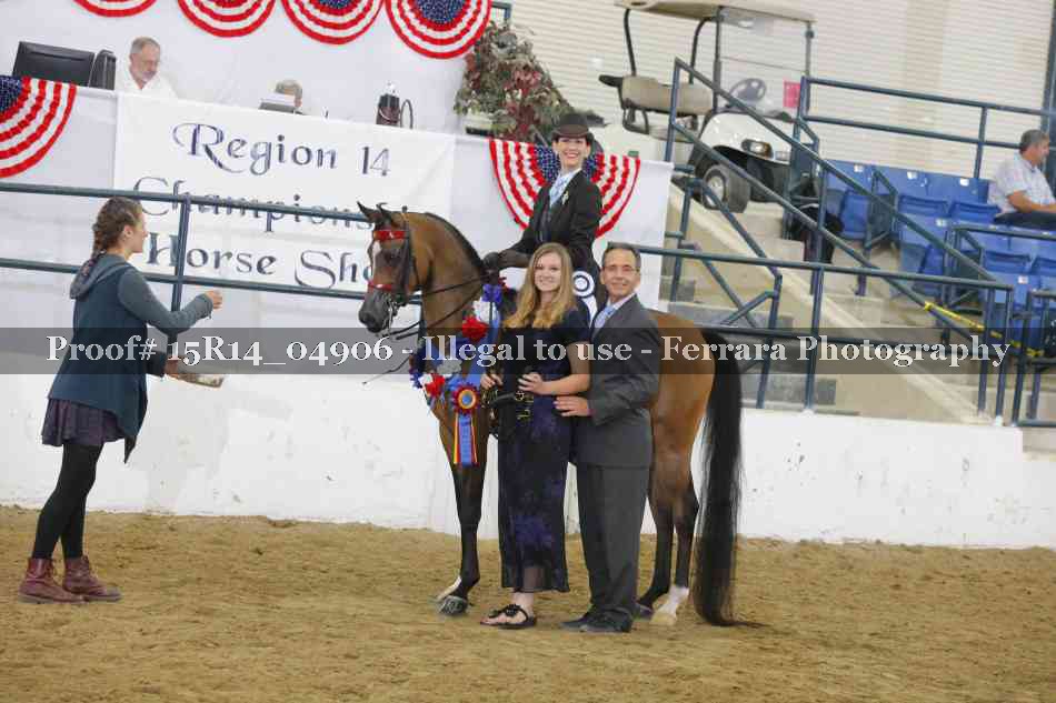 Proof Number 15R14_04906