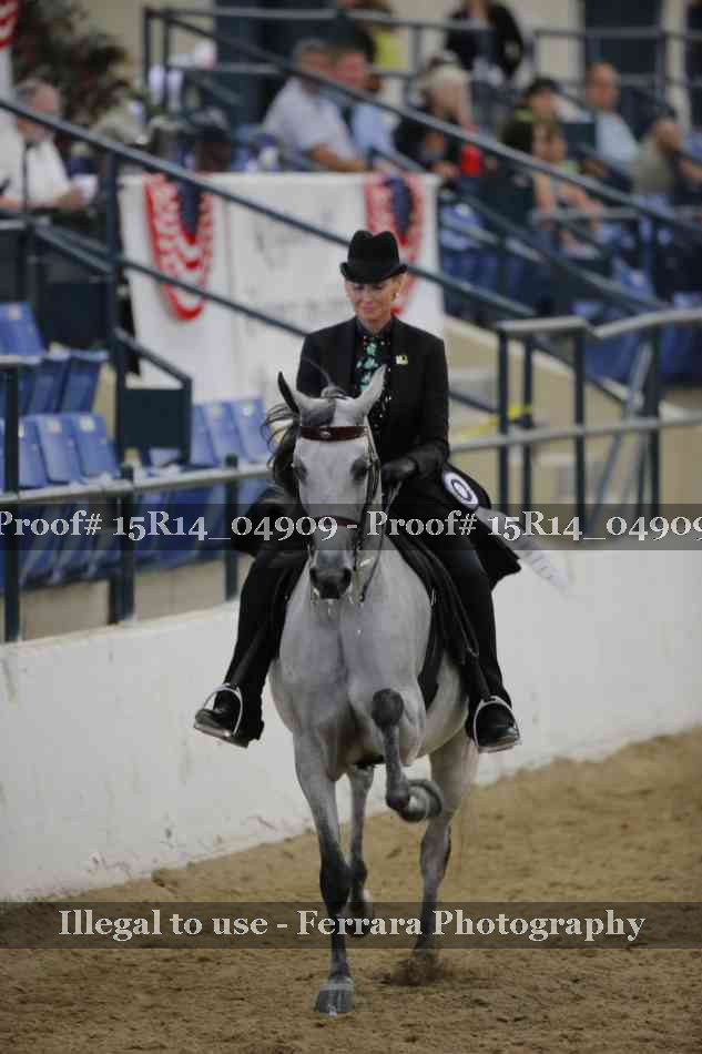 Proof Number 15R14_04909