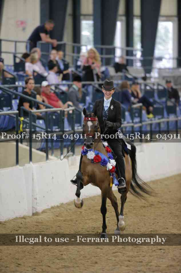 Proof Number 15R14_04911
