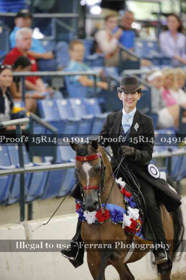 Proof Number 15R14_04914
