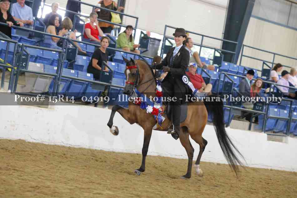 Proof Number 15R14_04919