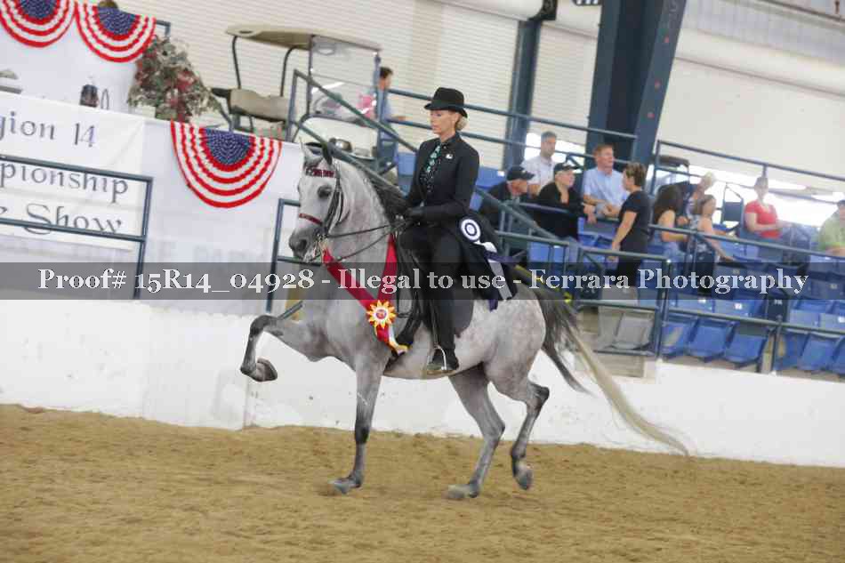 Proof Number 15R14_04928