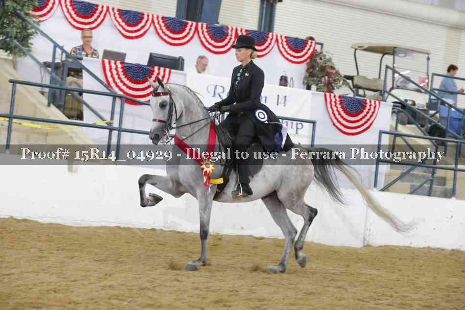 Proof Number 15R14_04929
