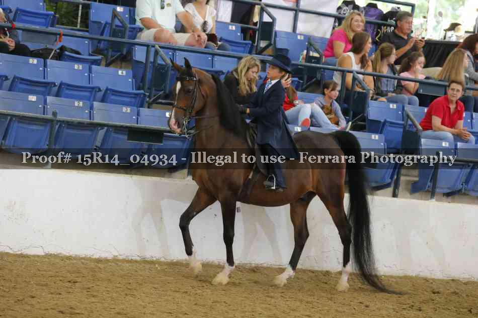 Proof Number 15R14_04934
