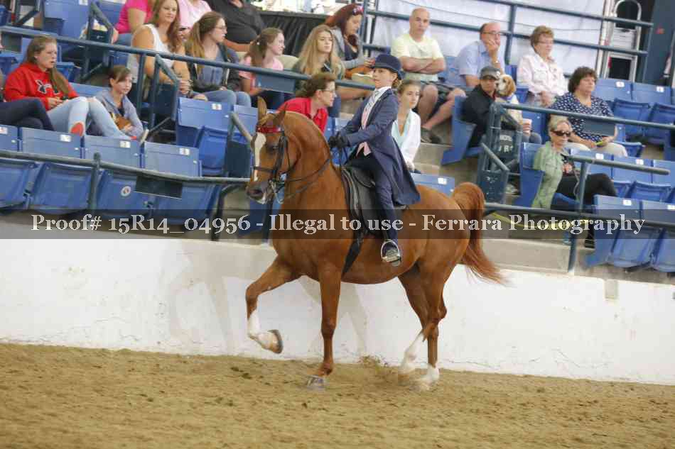 Proof Number 15R14_04956