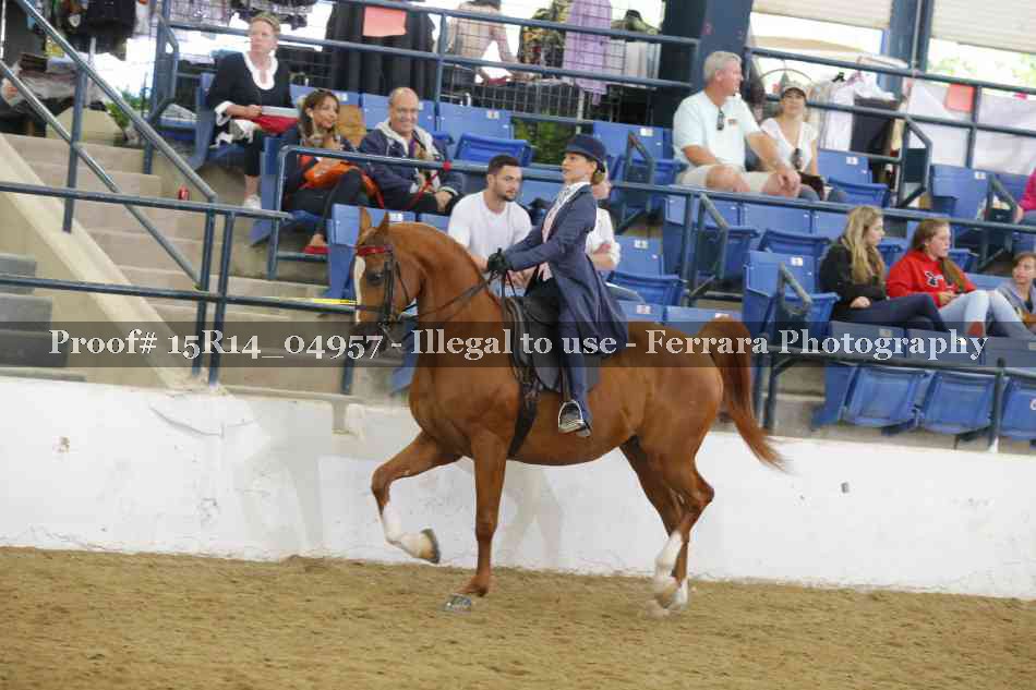 Proof Number 15R14_04957