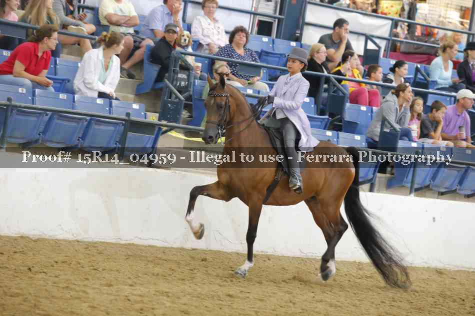 Proof Number 15R14_04959