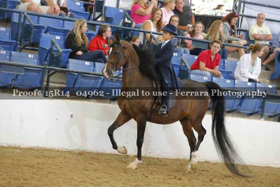 Proof Number 15R14_04962