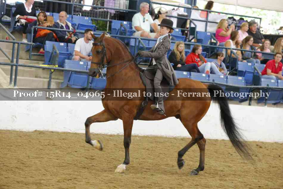 Proof Number 15R14_04965