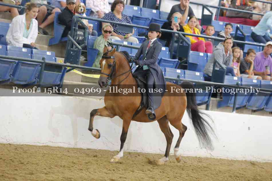 Proof Number 15R14_04969