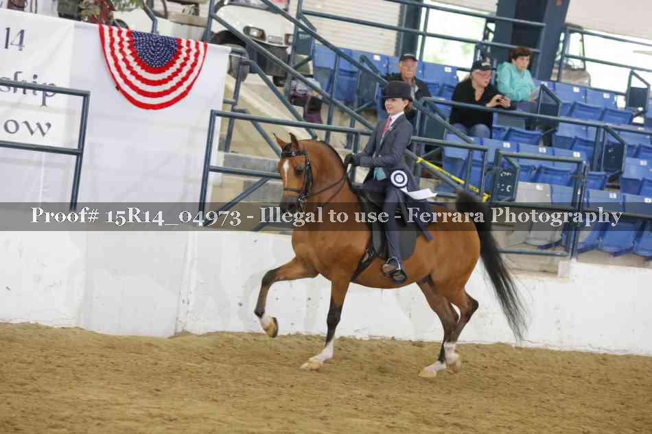 Proof Number 15R14_04973