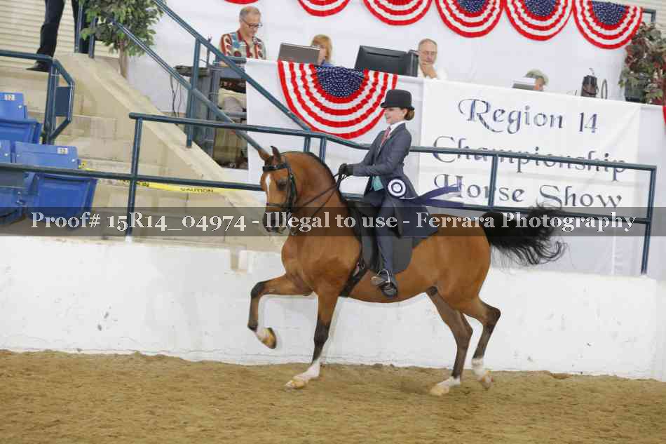 Proof Number 15R14_04974