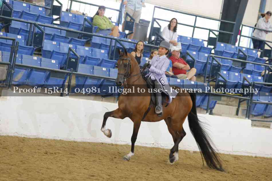 Proof Number 15R14_04981