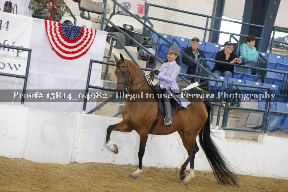 Proof Number 15R14_04982