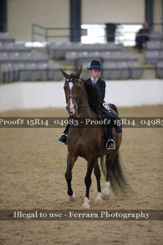 Proof Number 15R14_04983