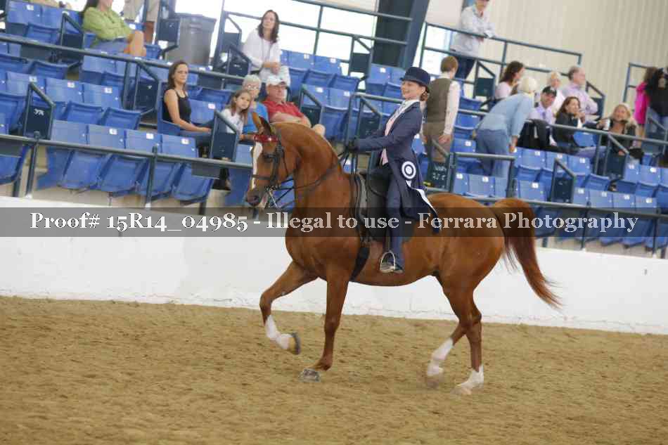 Proof Number 15R14_04985