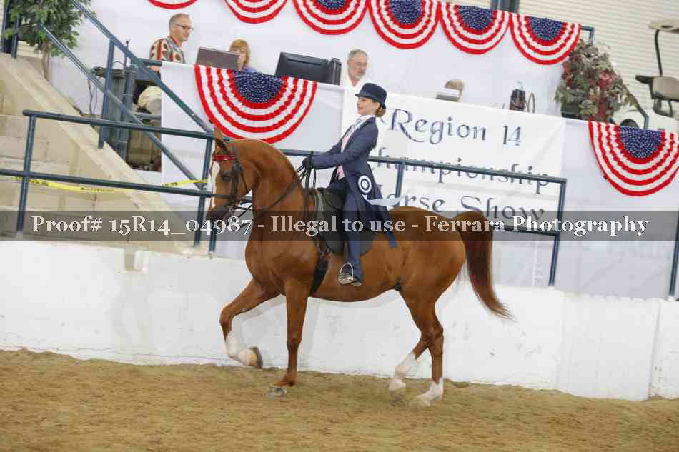 Proof Number 15R14_04987
