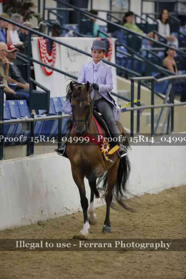 Proof Number 15R14_04999