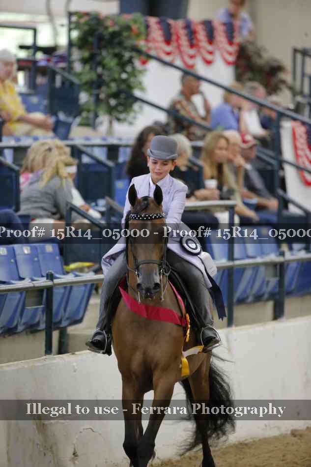 Proof Number 15R14_05000