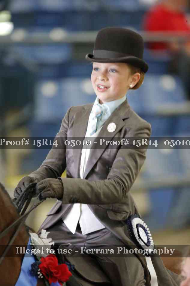 Proof Number 15R14_05010