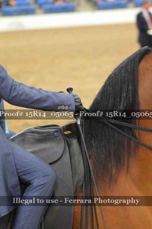 Proof Number 15R14_05065