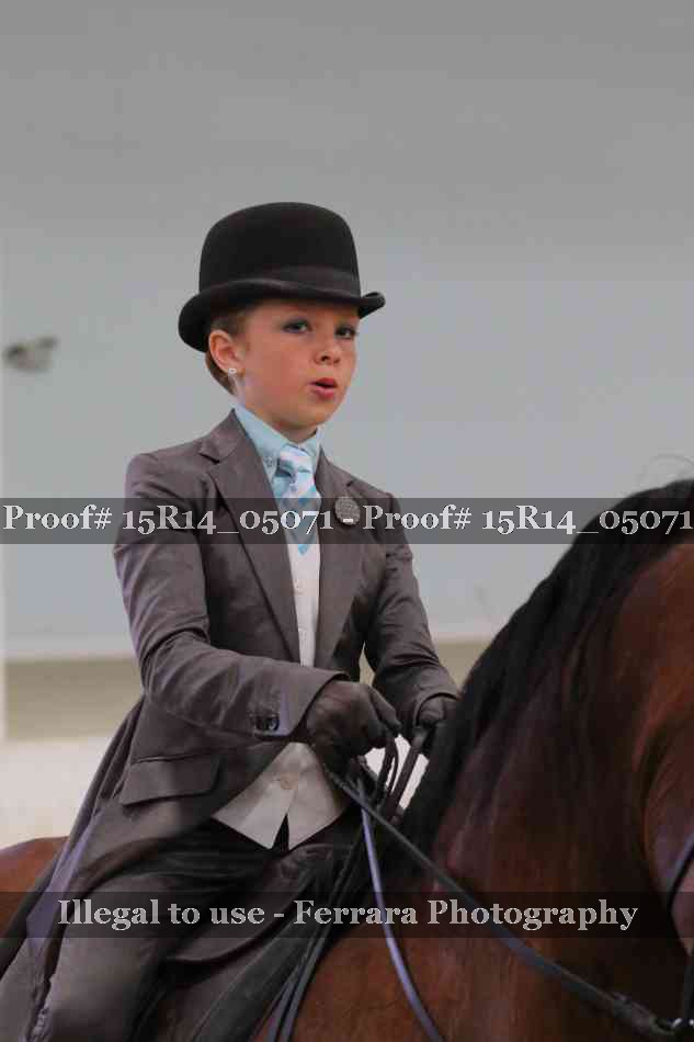 Proof Number 15R14_05071