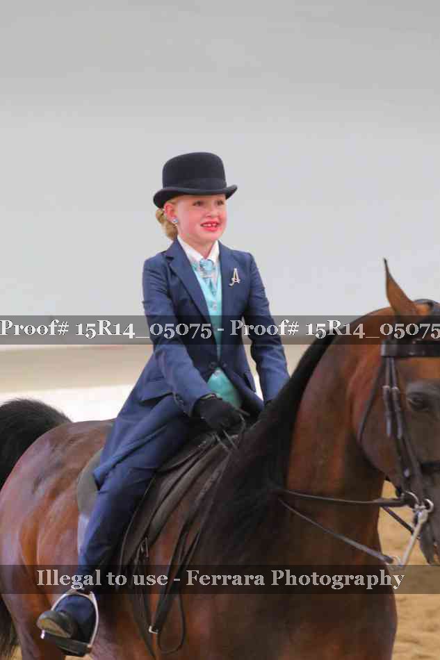 Proof Number 15R14_05075